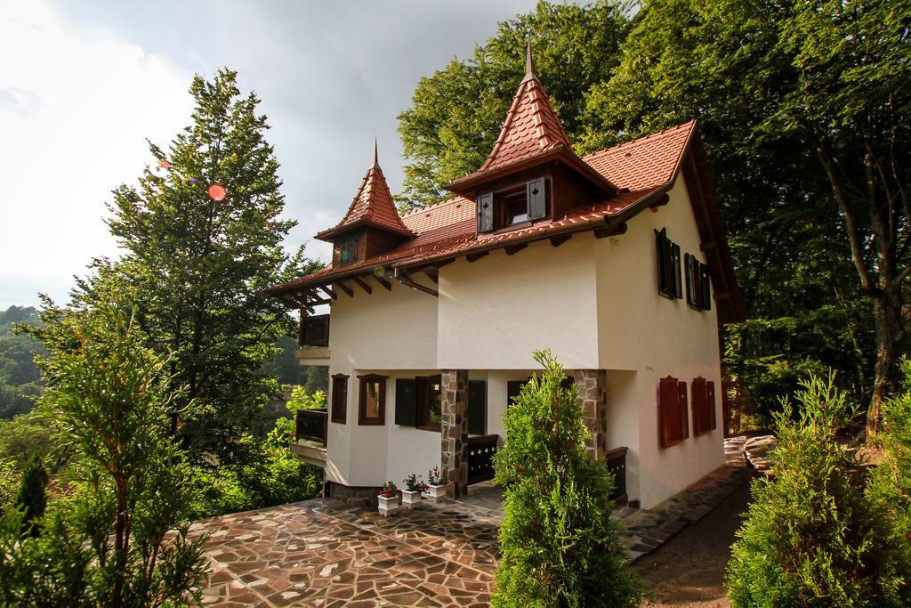 Vila Vista Sovata Bagian luar foto